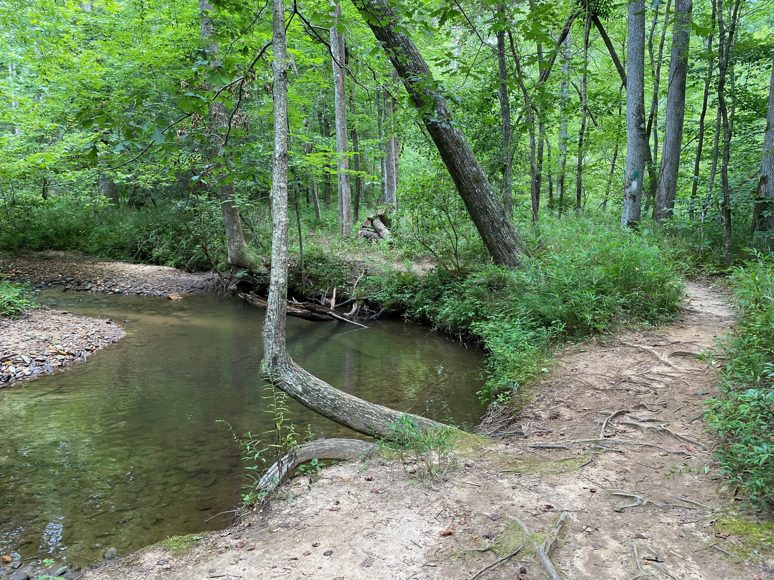 Lake Trail