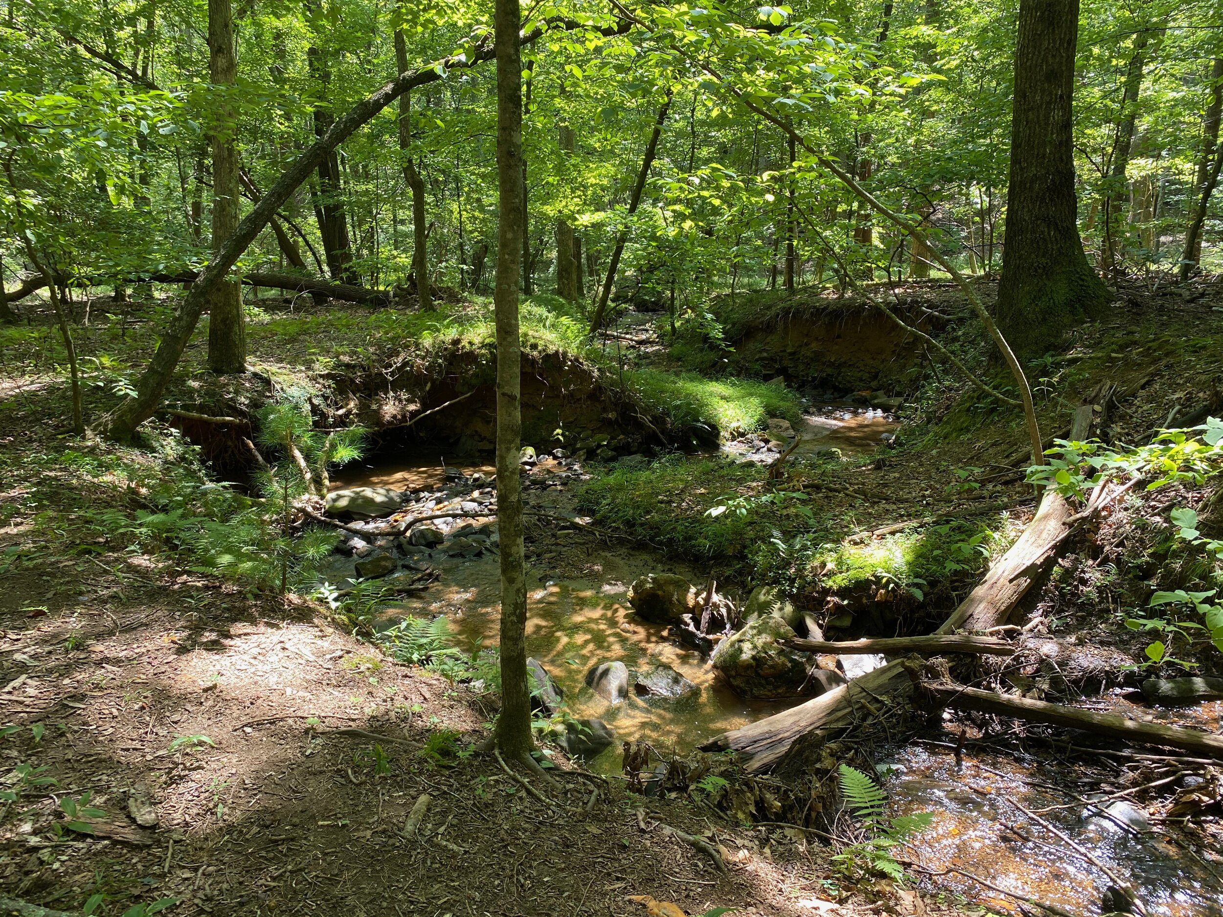 Indian Mounds Trail