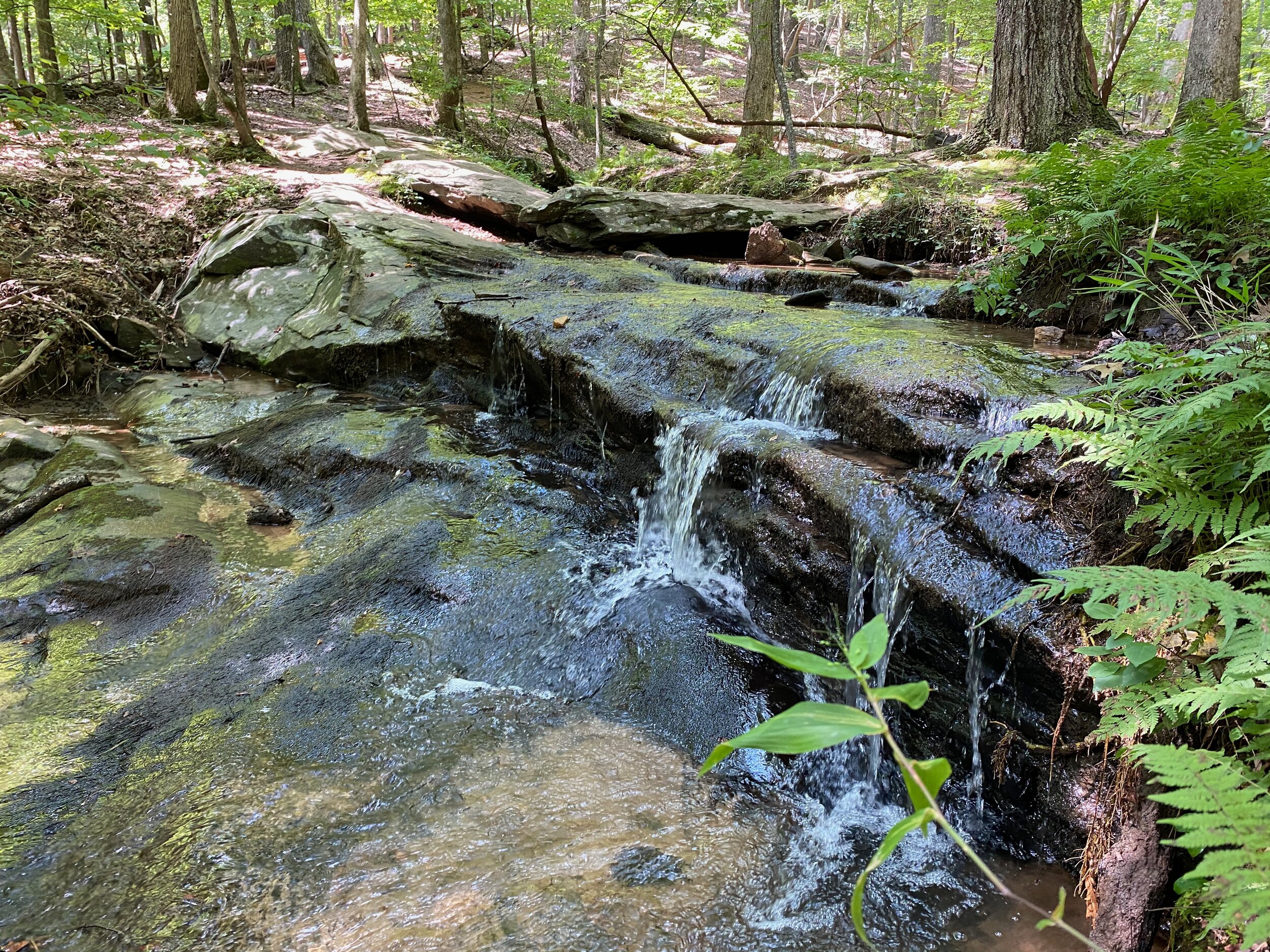 Indian Mounds Trail