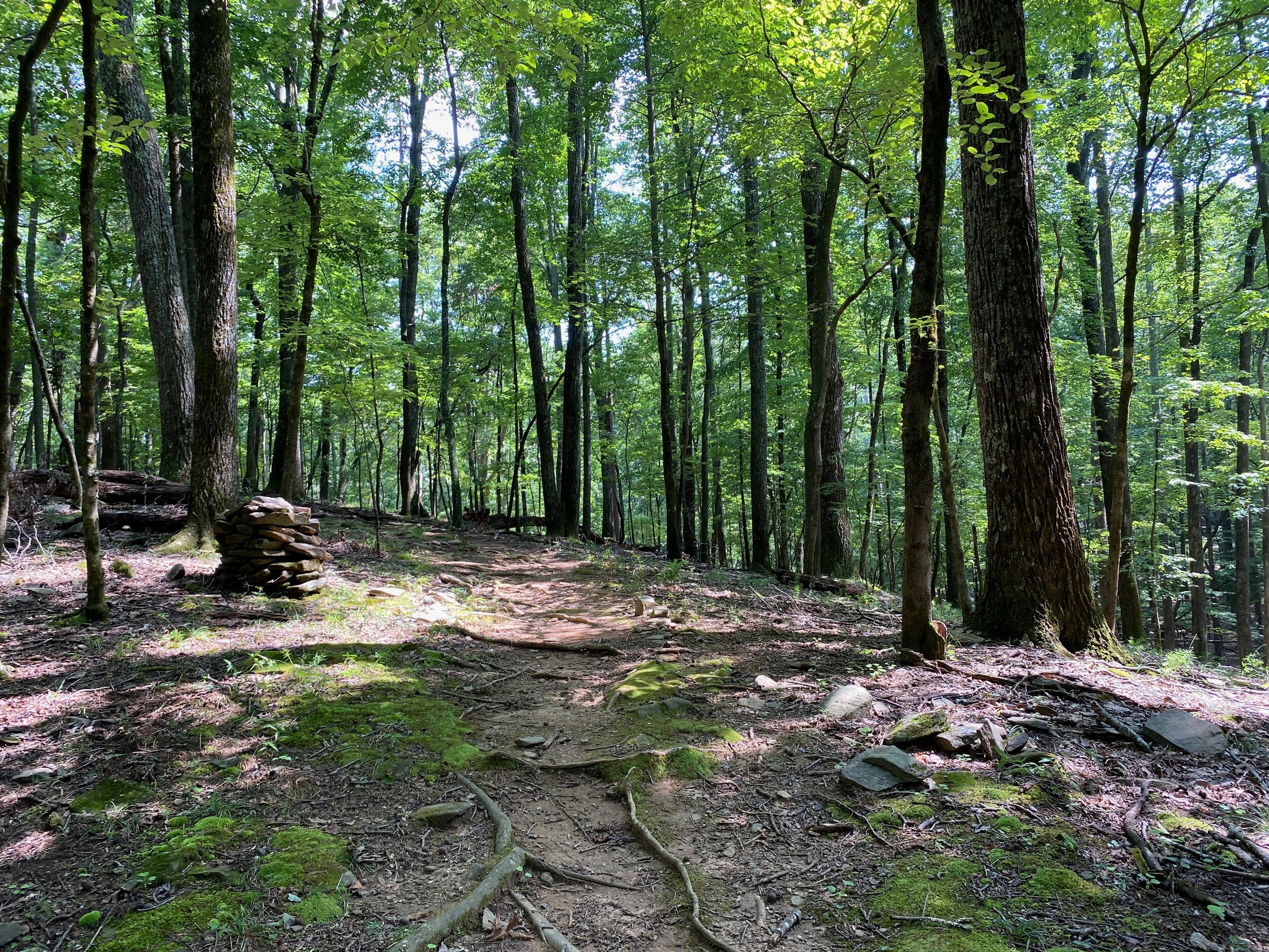 Indian Mounds Loop