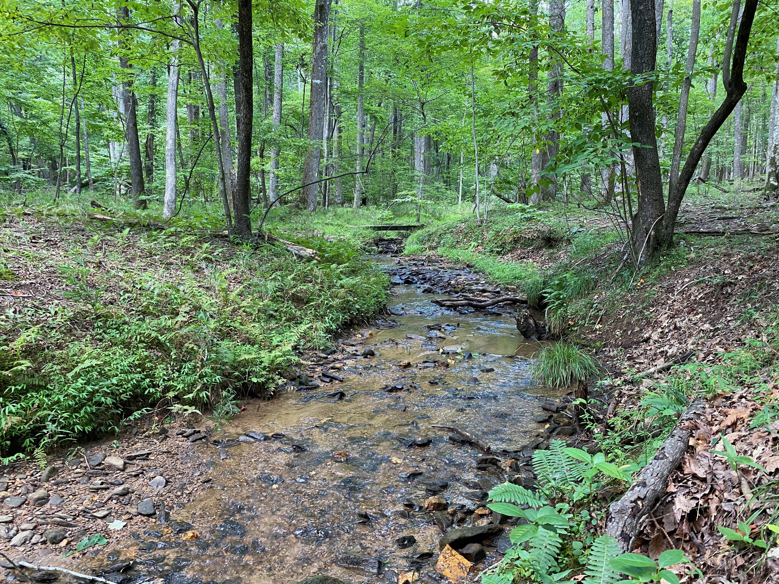 Indian Mounds Loop