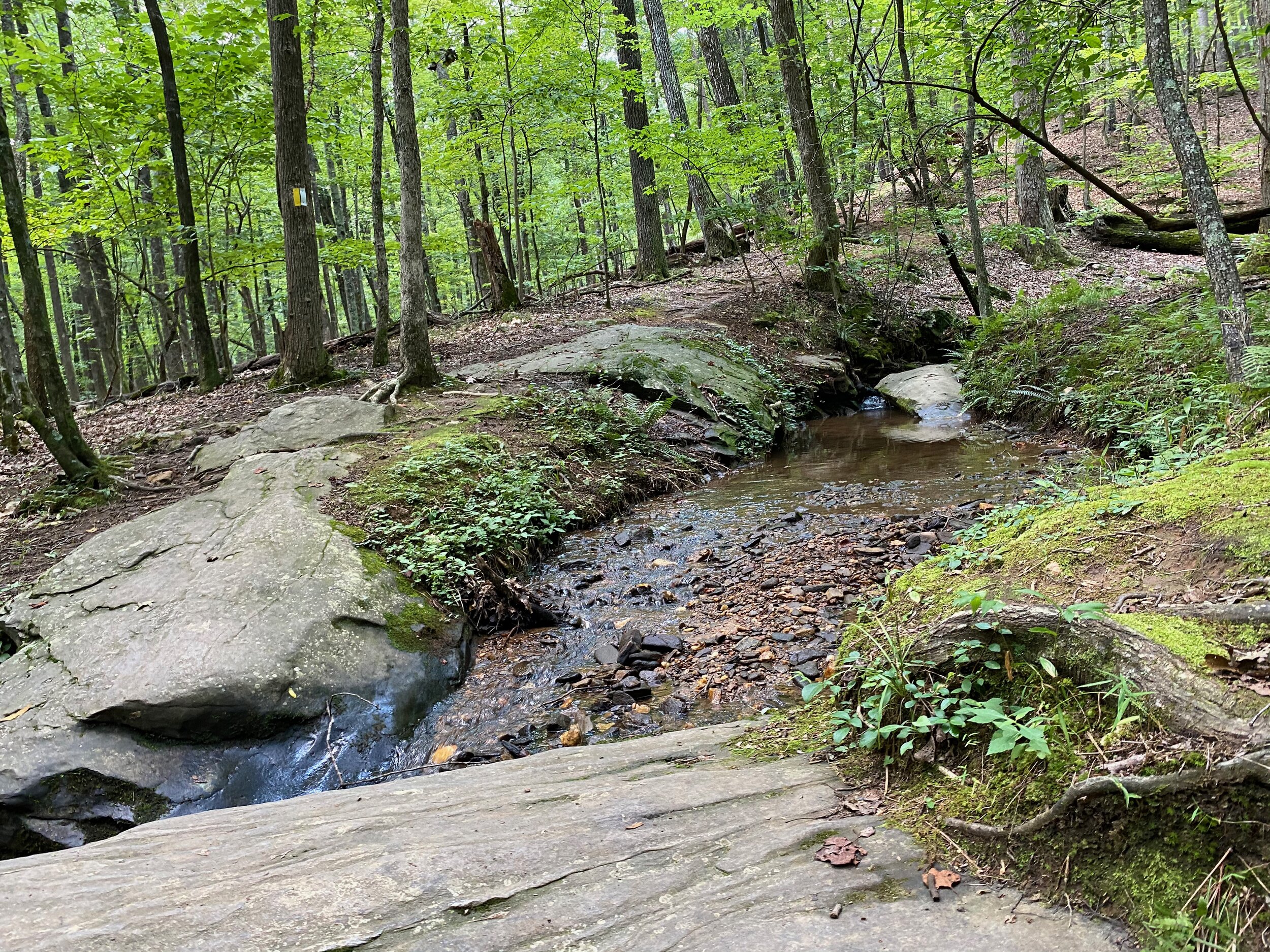 Indian Mounds Loop