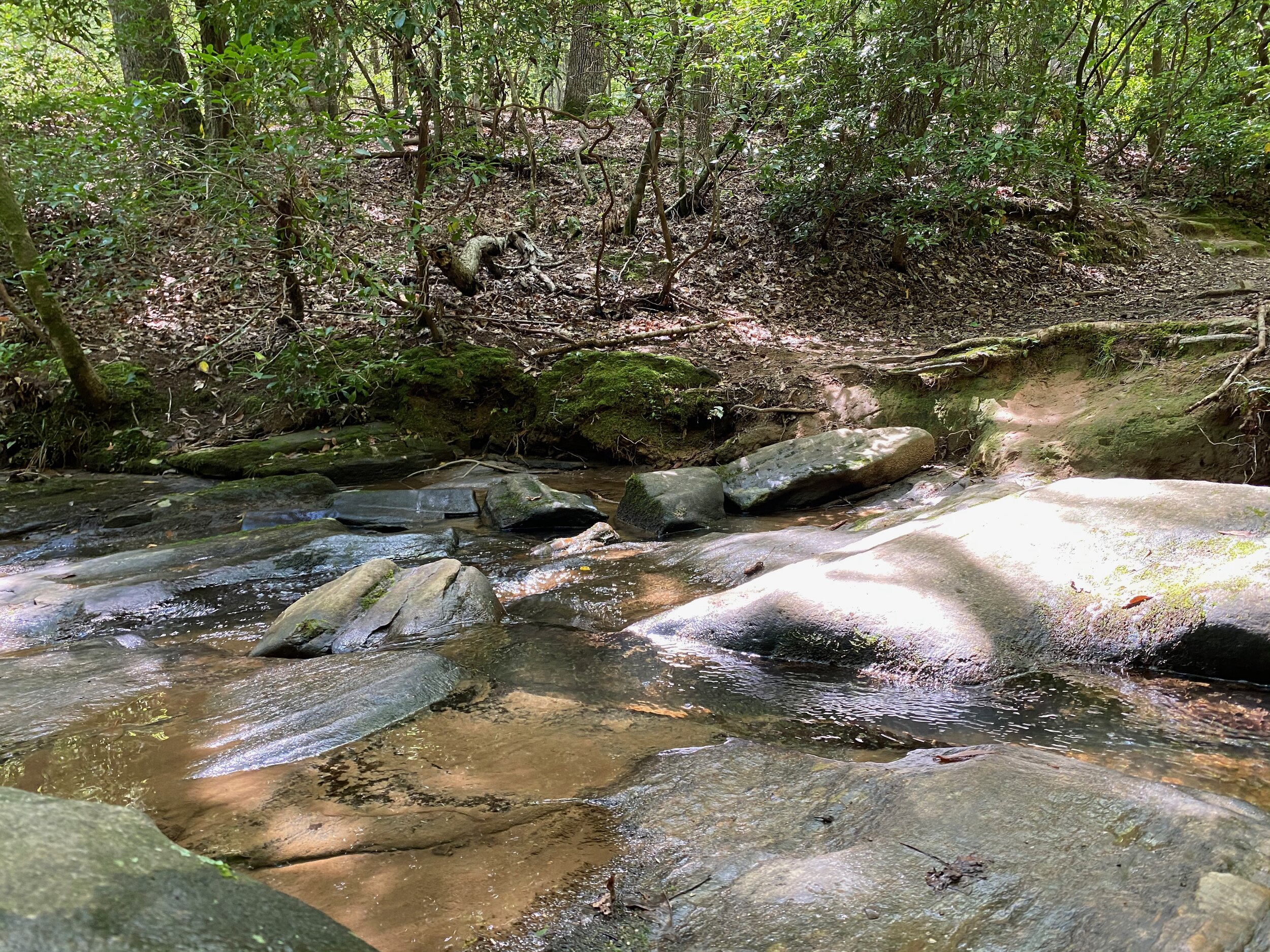 Lake Petit Trail