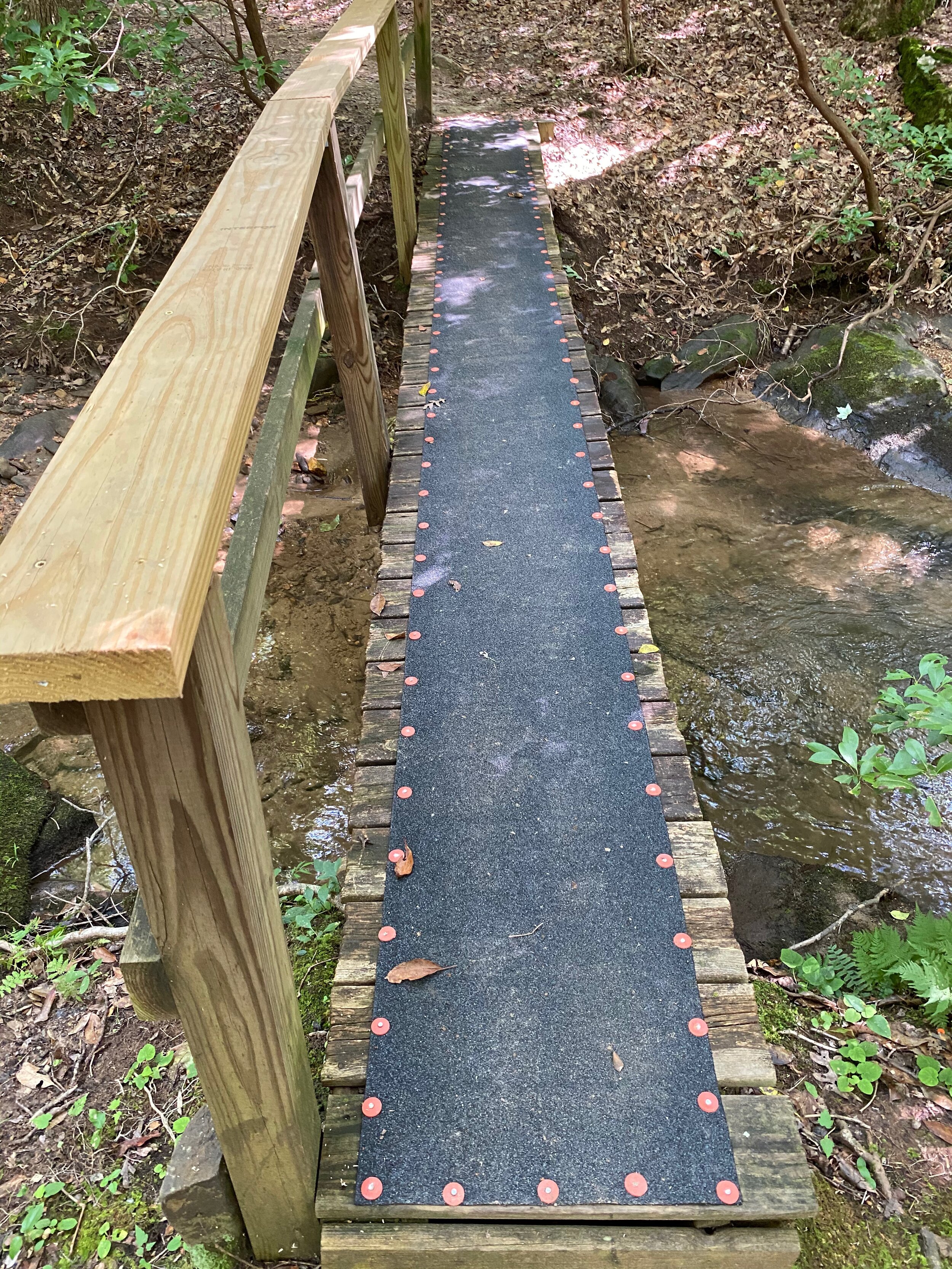 Lake Petit Trail