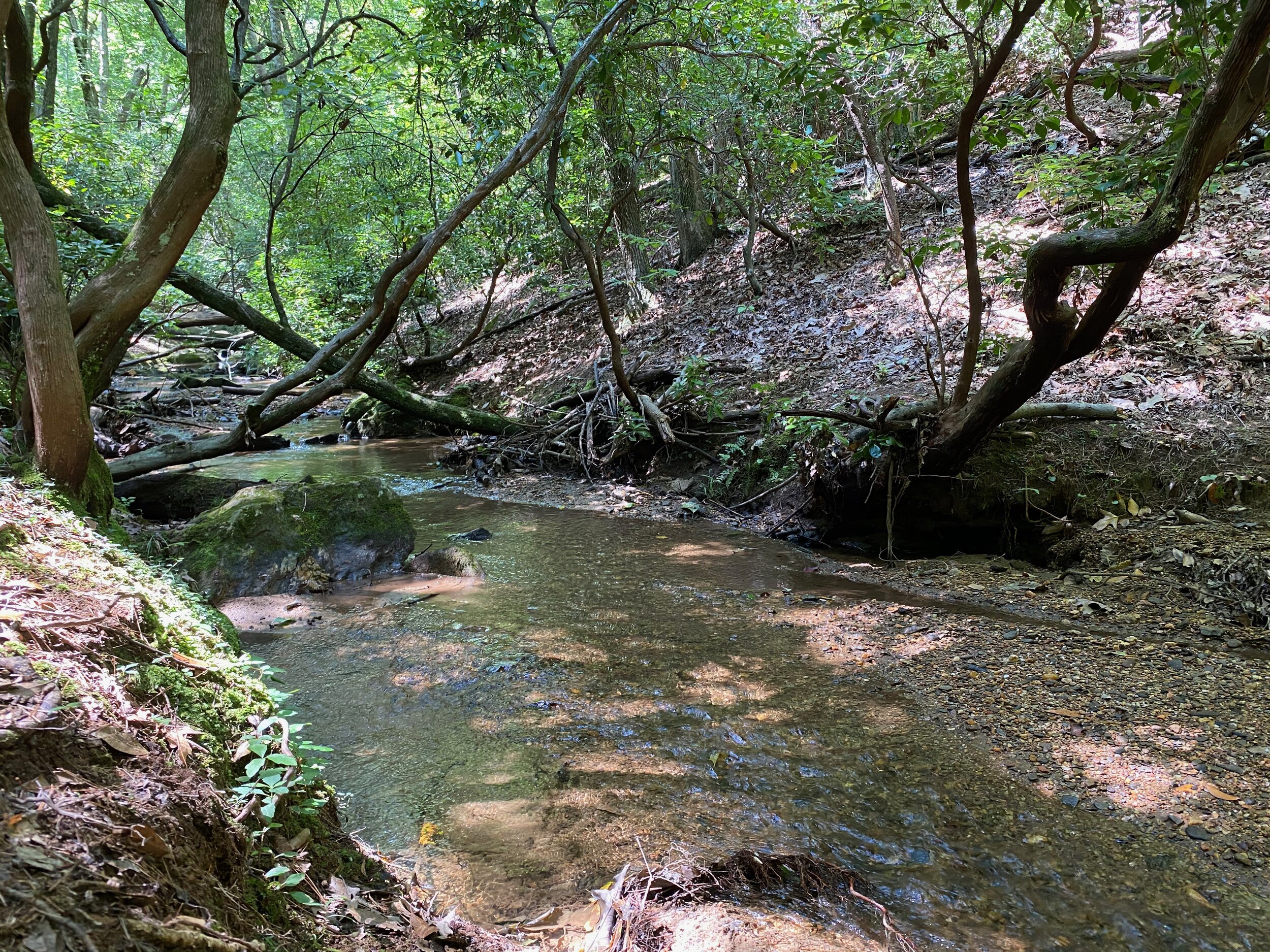 Lake Petit Trail