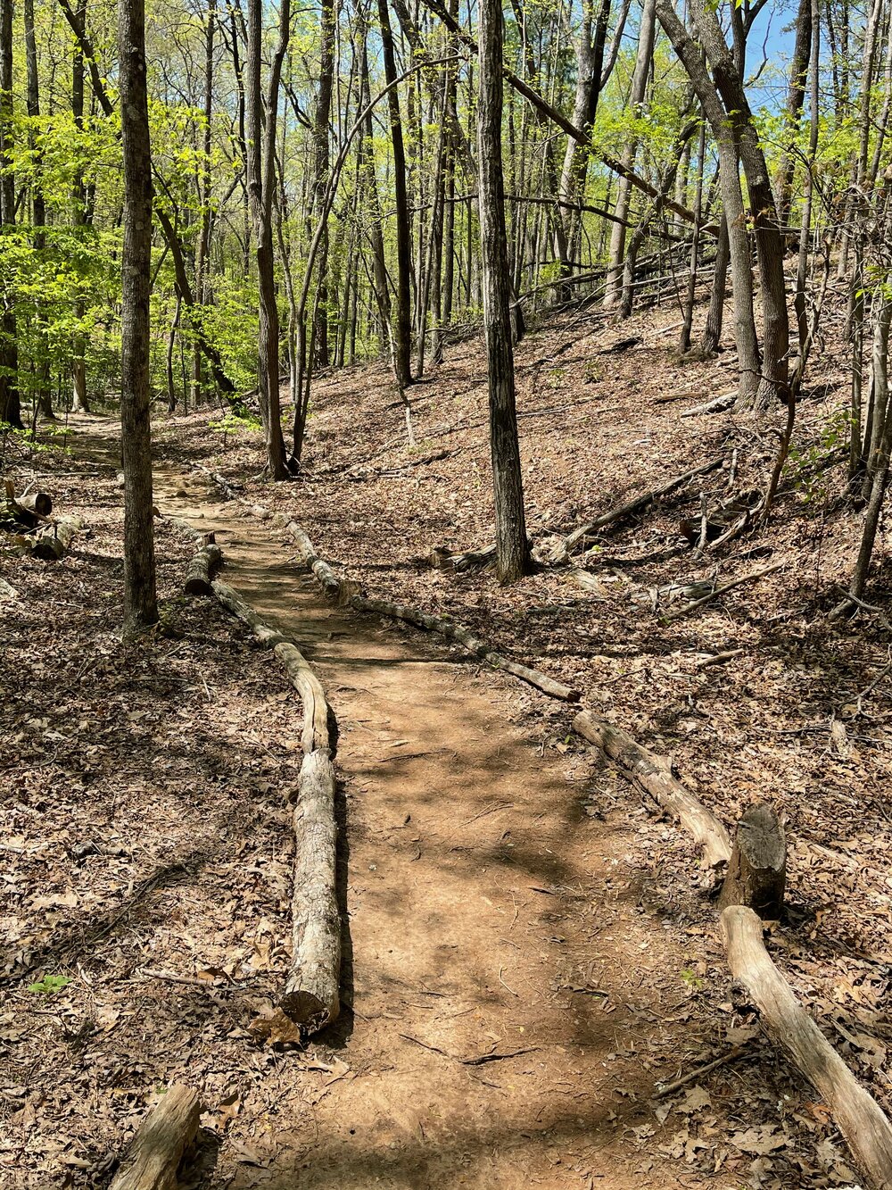 Improved delineation of trails