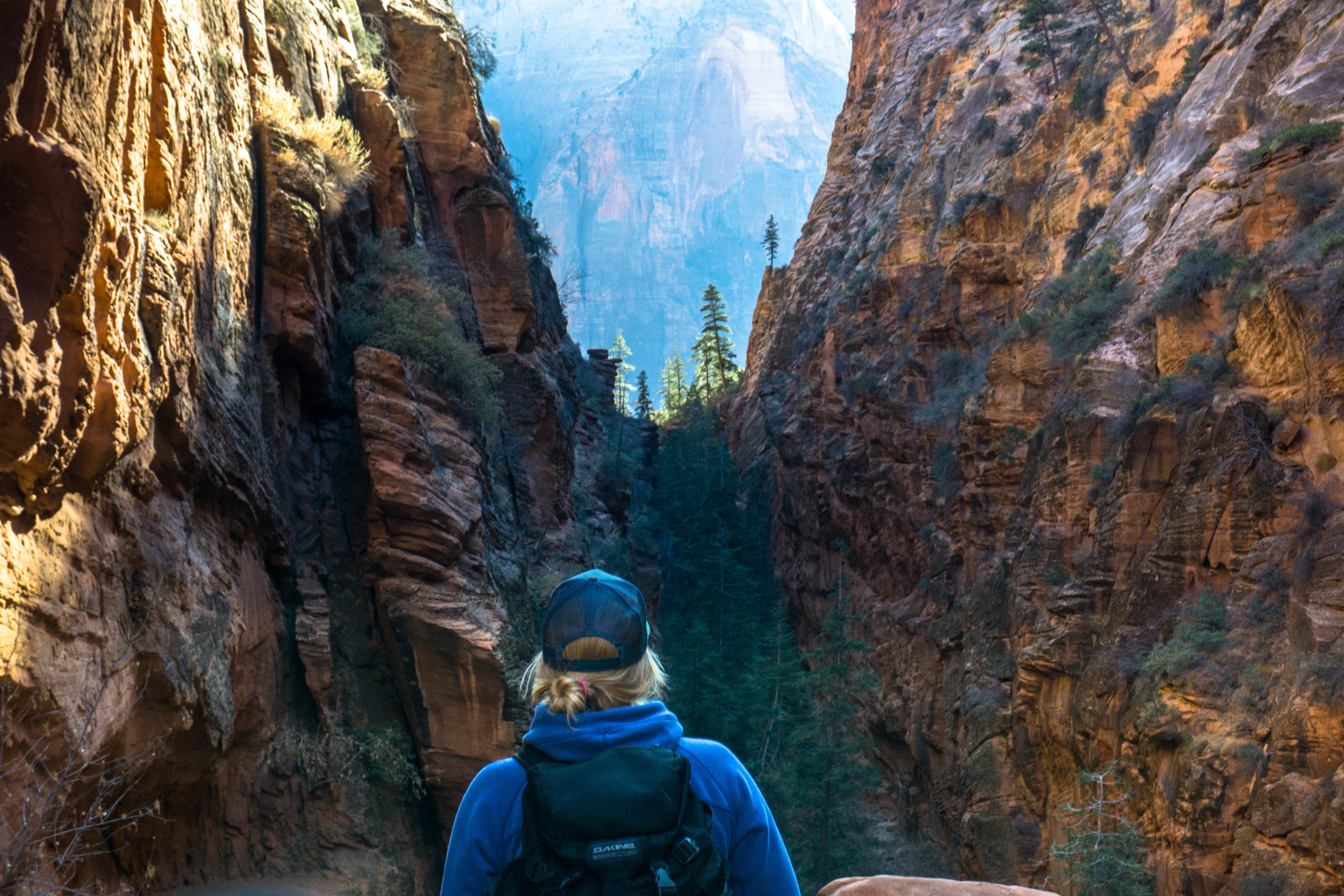 20171216-DSC05210 copy.jpg