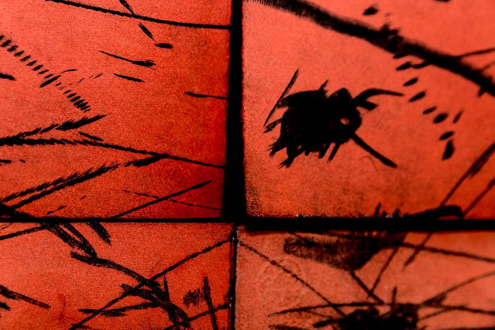 Eumeralla Wars (detail). Picture credit P1xels.