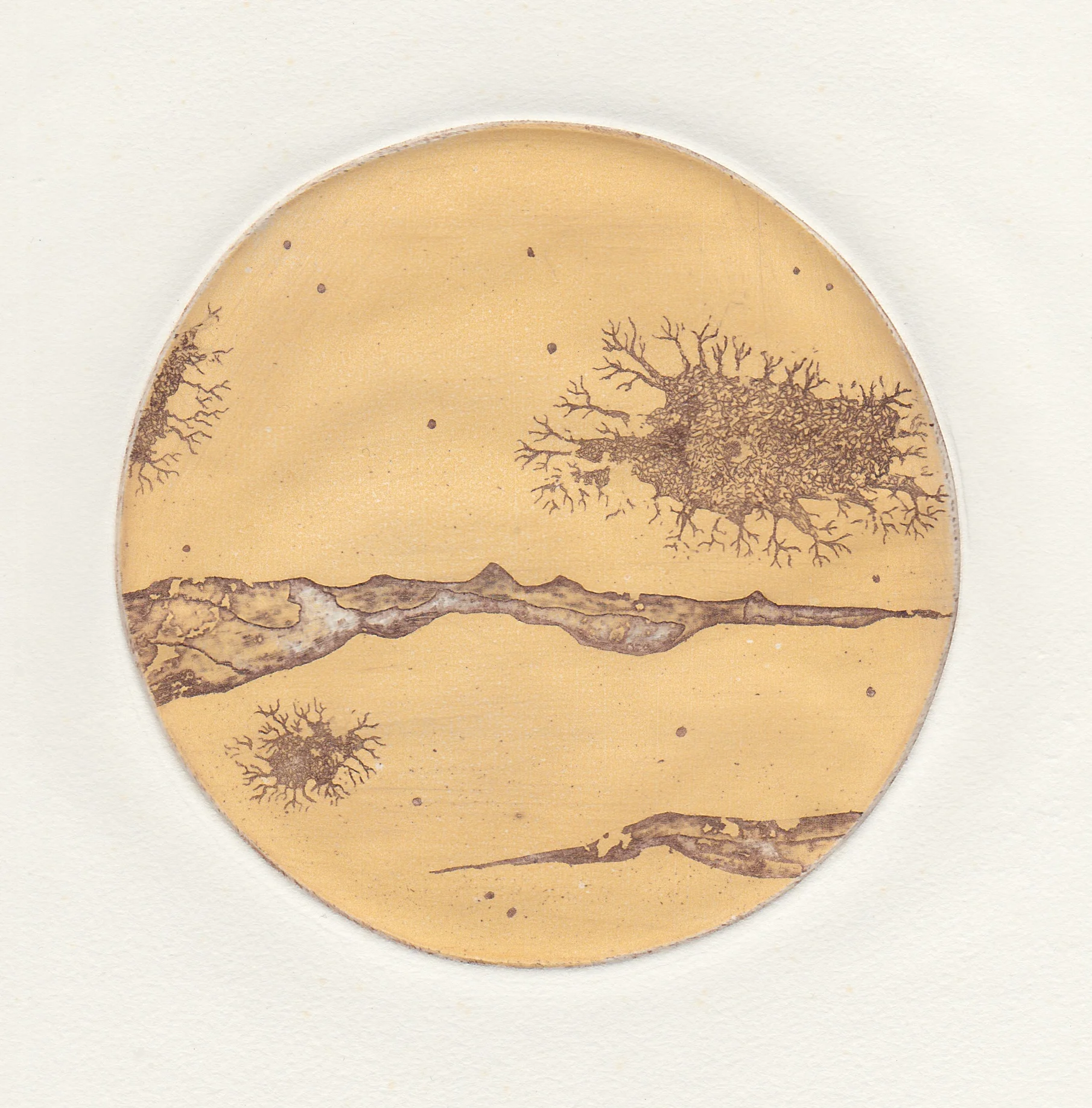At Arms Length #3 (2013). Viscosity Etching.