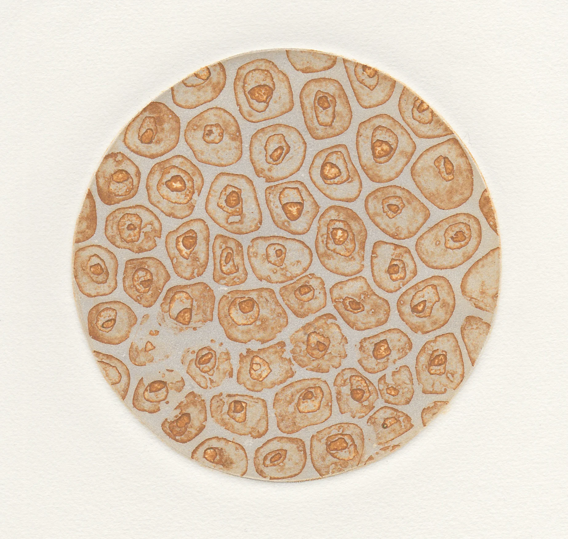 At Arms Length #7 (2013). Viscosity Etching.