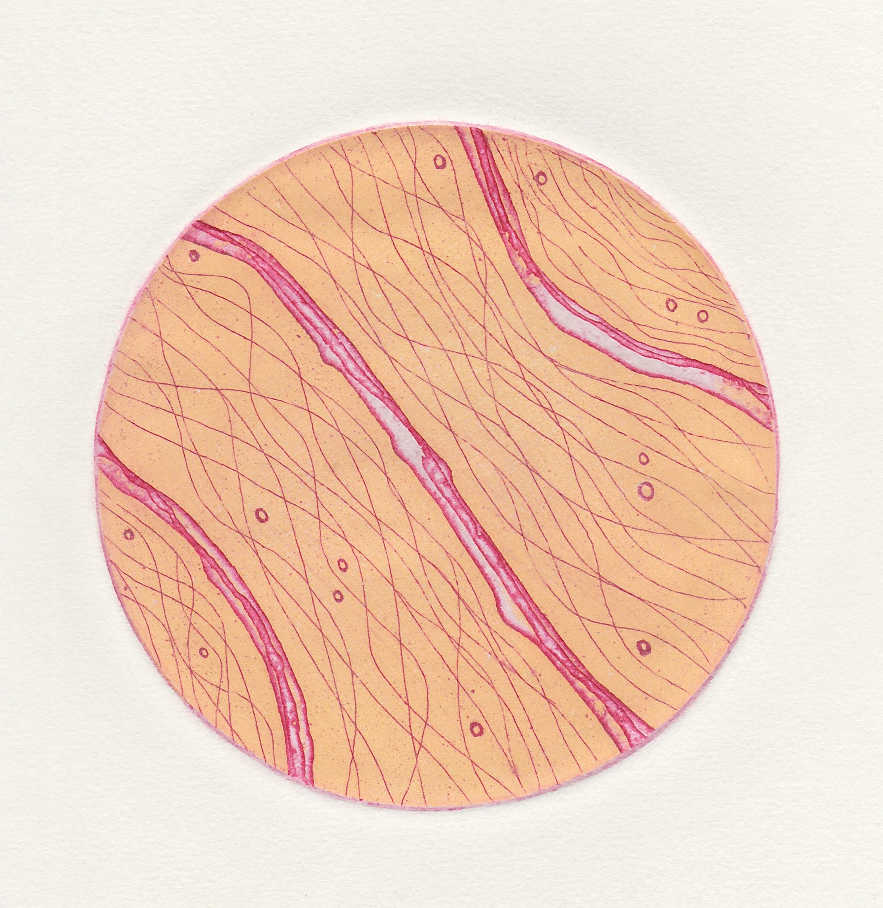 At Arms Length #9 (2013). Viscosity Etching.