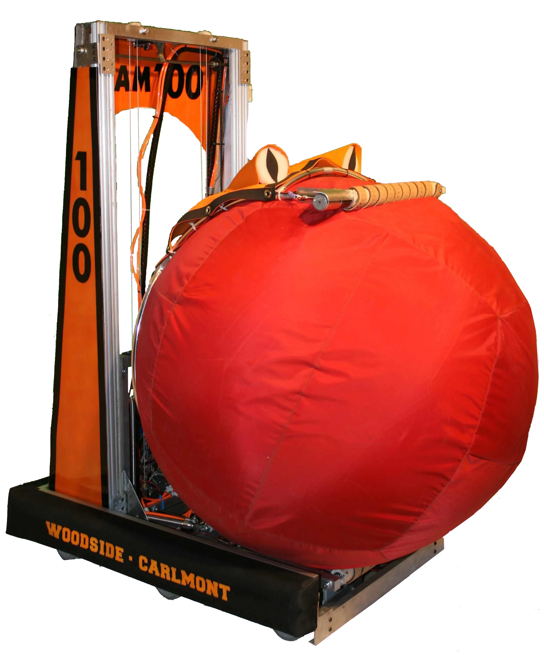 2008 Ball Frog.jpg