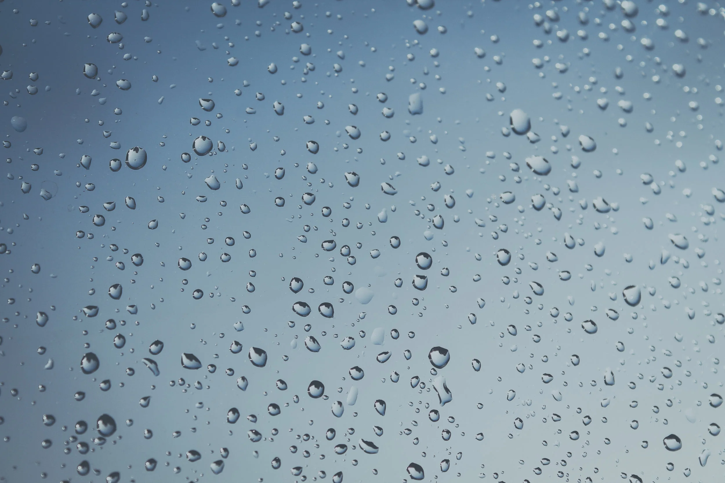 WallacePressureWashingSearcyArkansasResidentialandCommercialPressureWashing.jpg