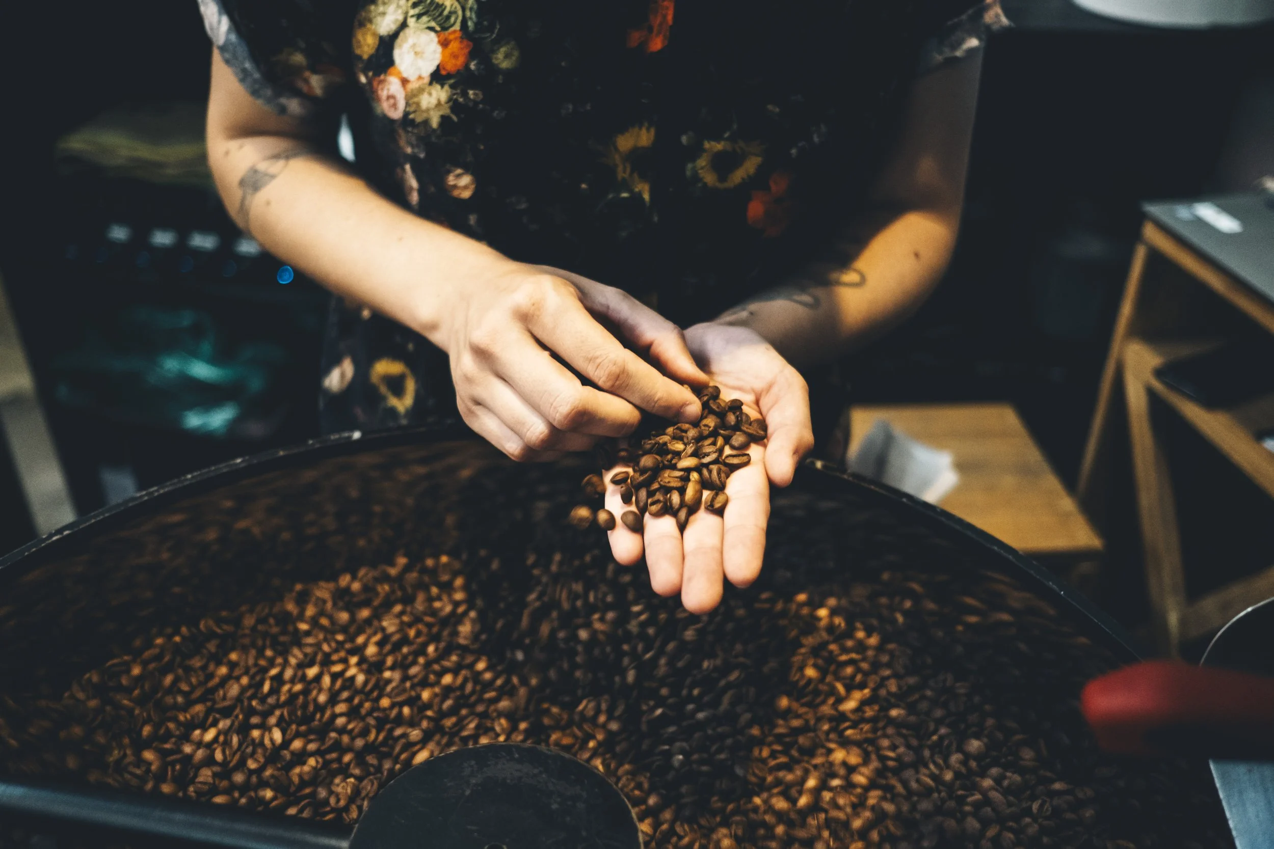 CAFÉ TRADICIONAL VS. ESPECIAL - QUAL A DIFERENÇA?