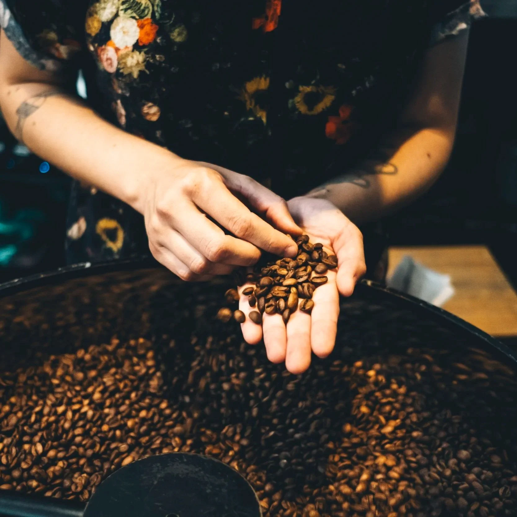 OS CAFÉS ESPECIAIS DA VEZ - veja as novidades