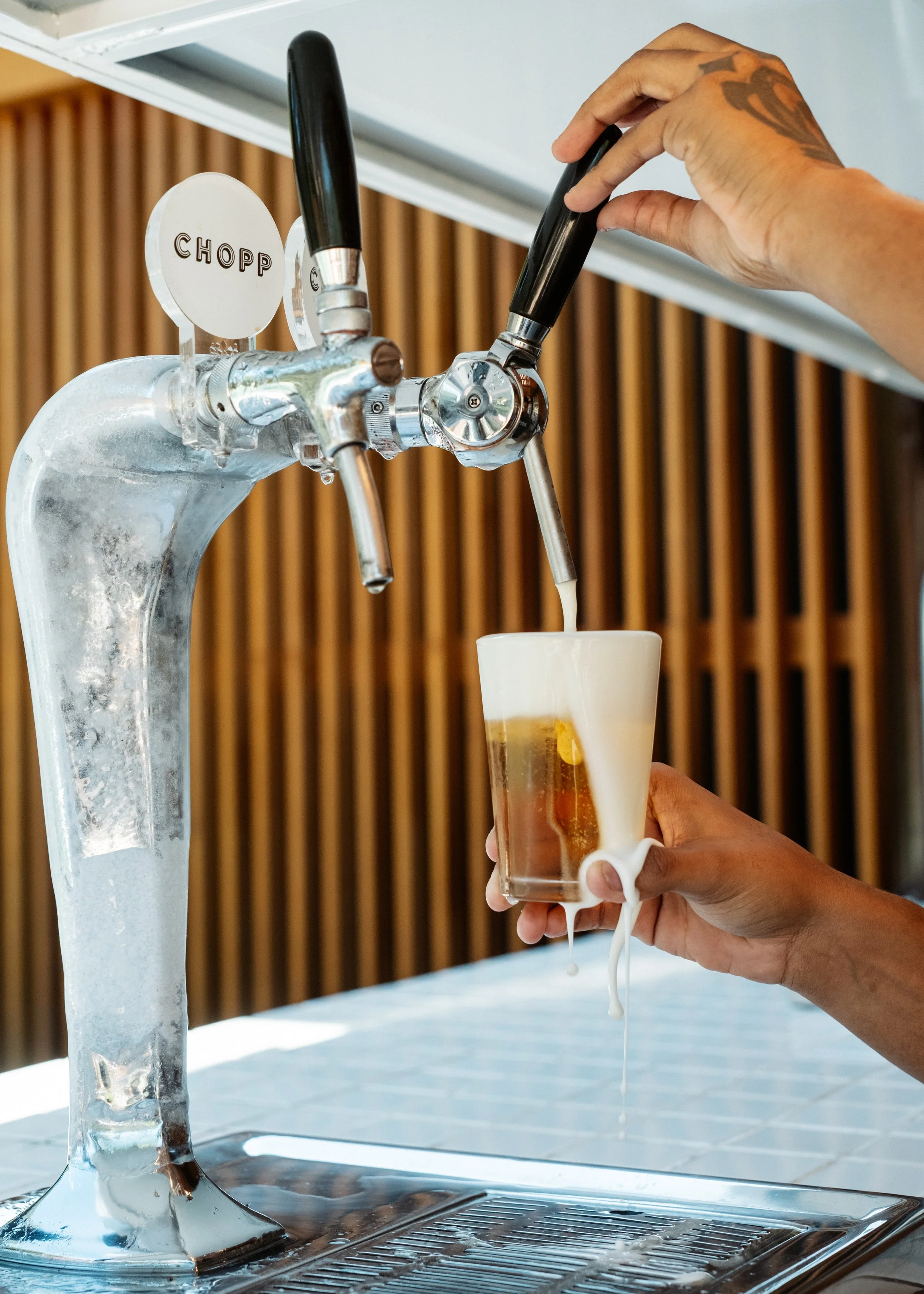 chope_futuro no parque_DSF7701.jpg