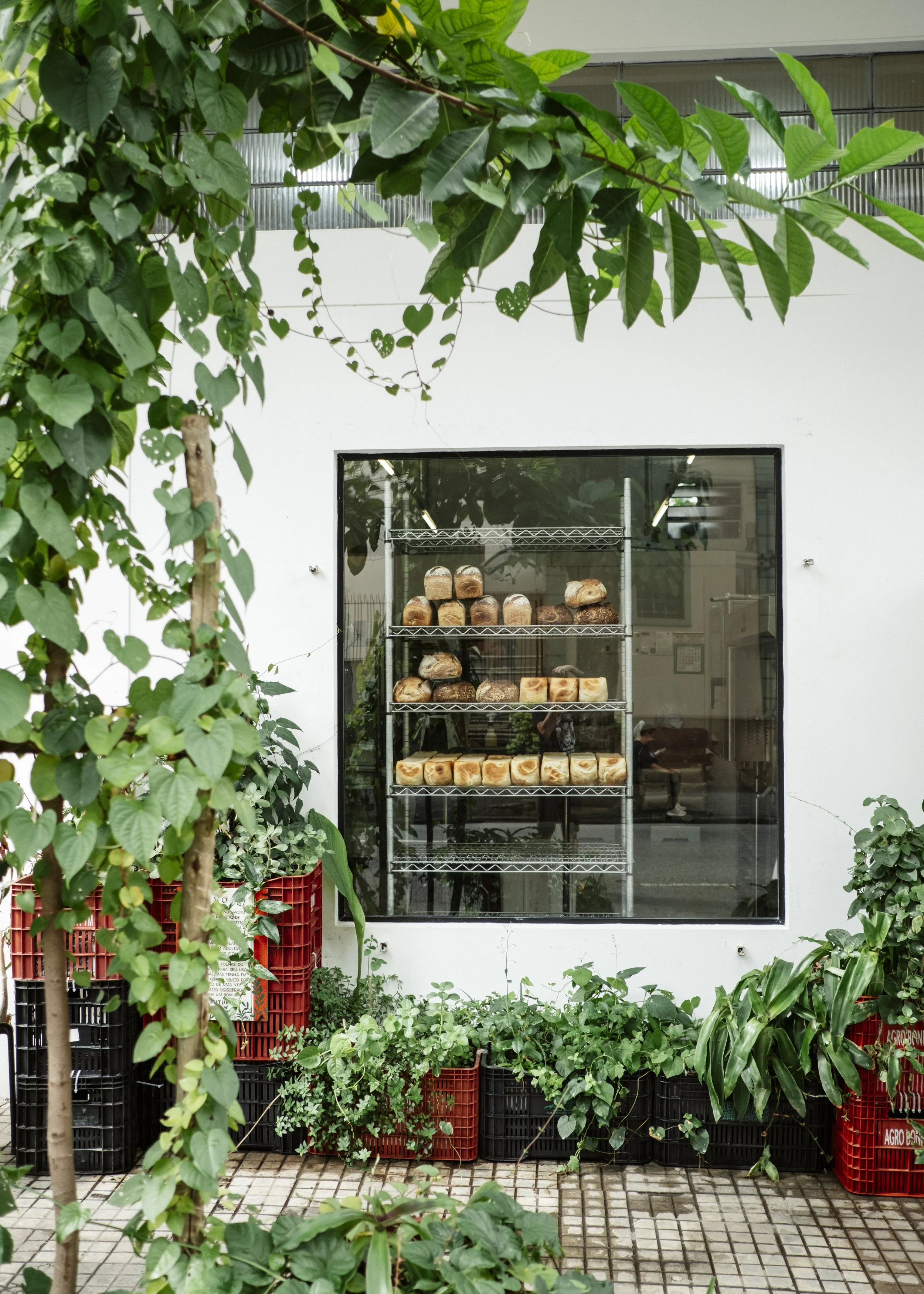 vitrine de pães_DSF7629.jpg