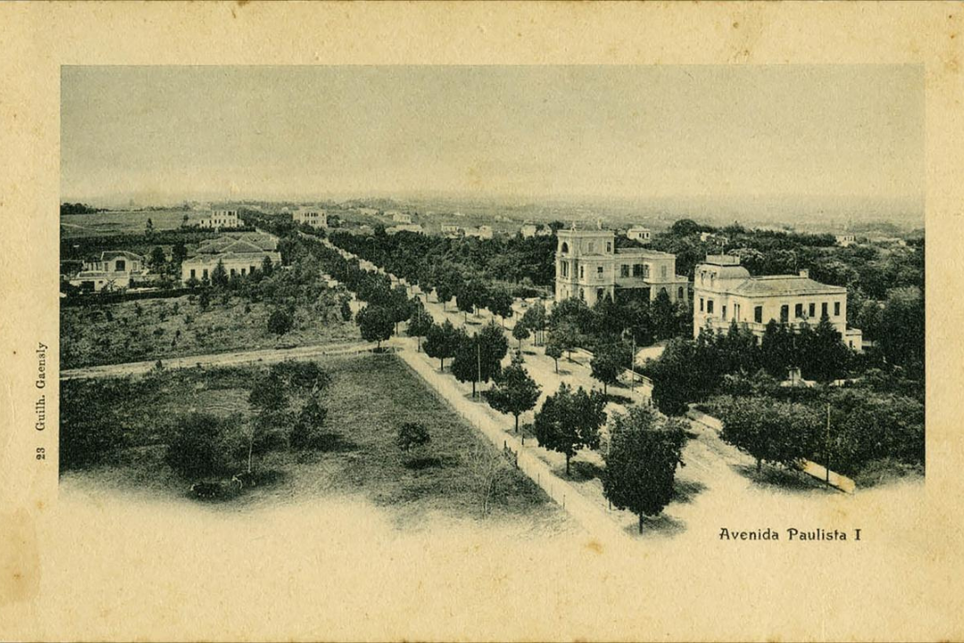 uma fotografia da Avenida Paulista completamente arborizada e com casarões históricos, de Guilherme Gaensly