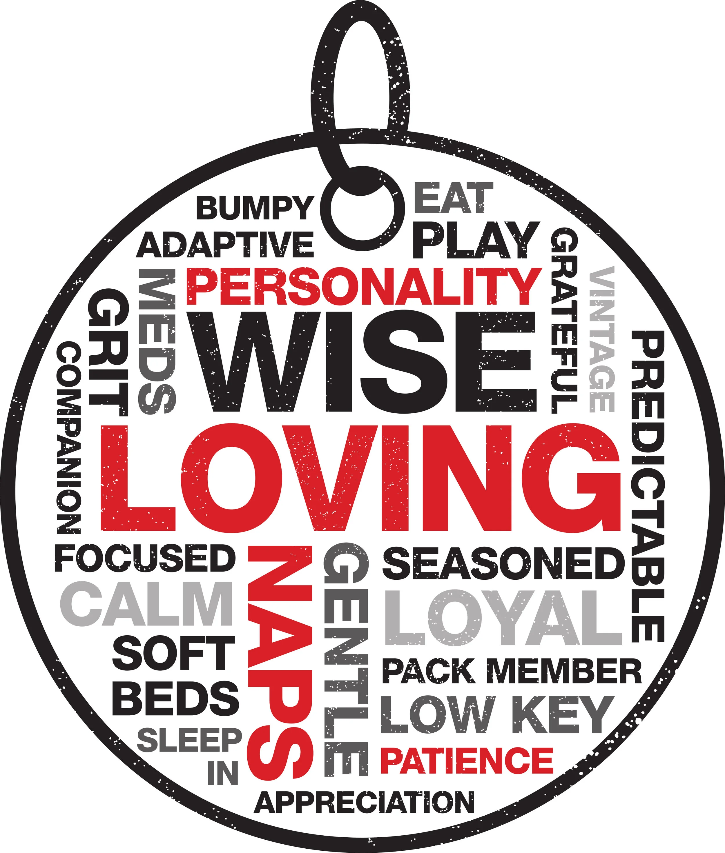 wordcloud-IASO.jpg