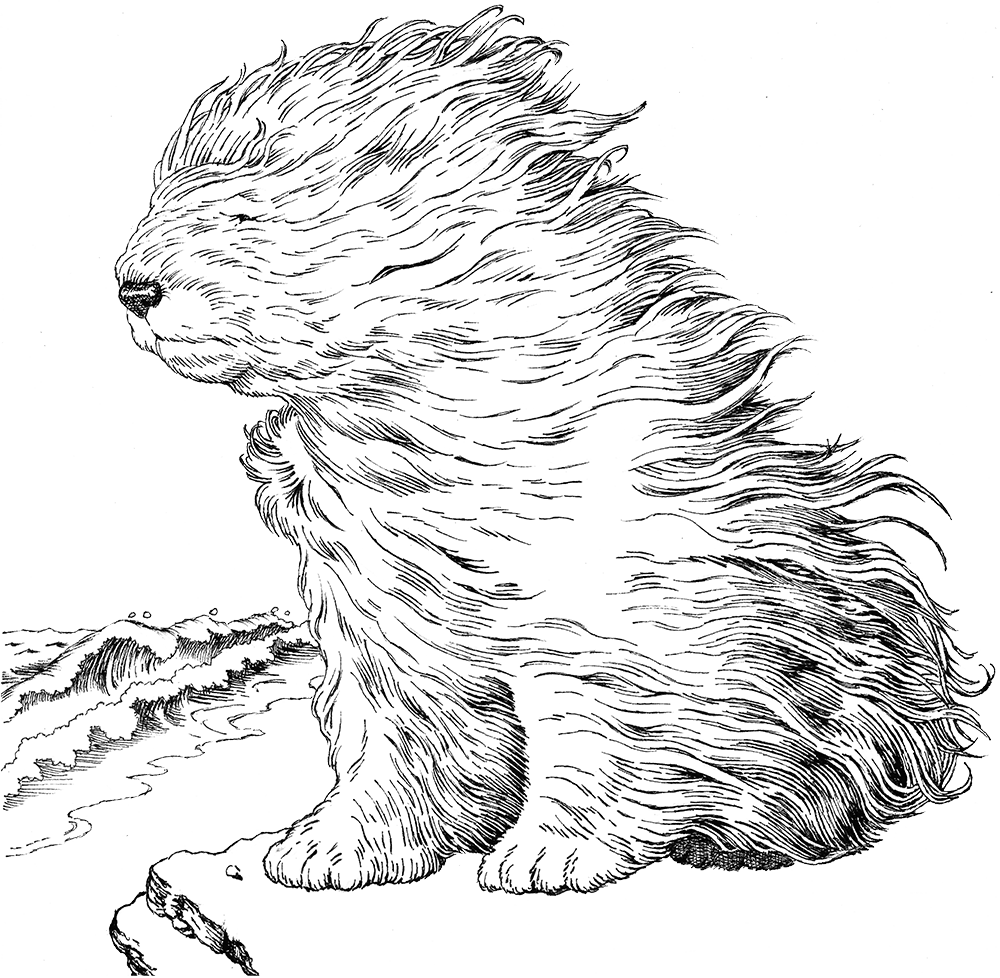 IASO_Sheepdog.png