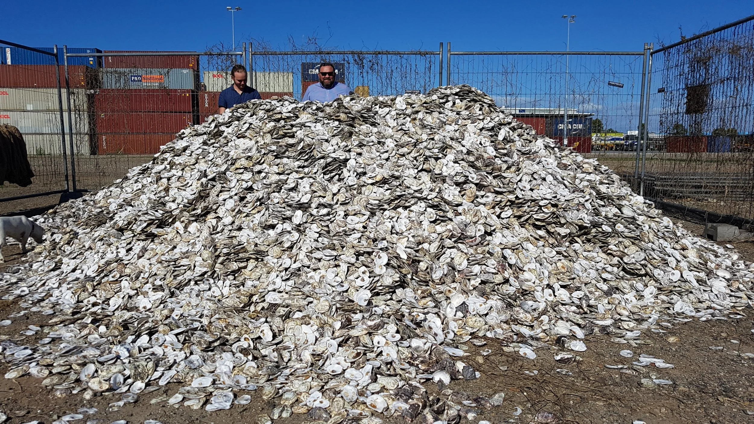 20181002_151230.jpg