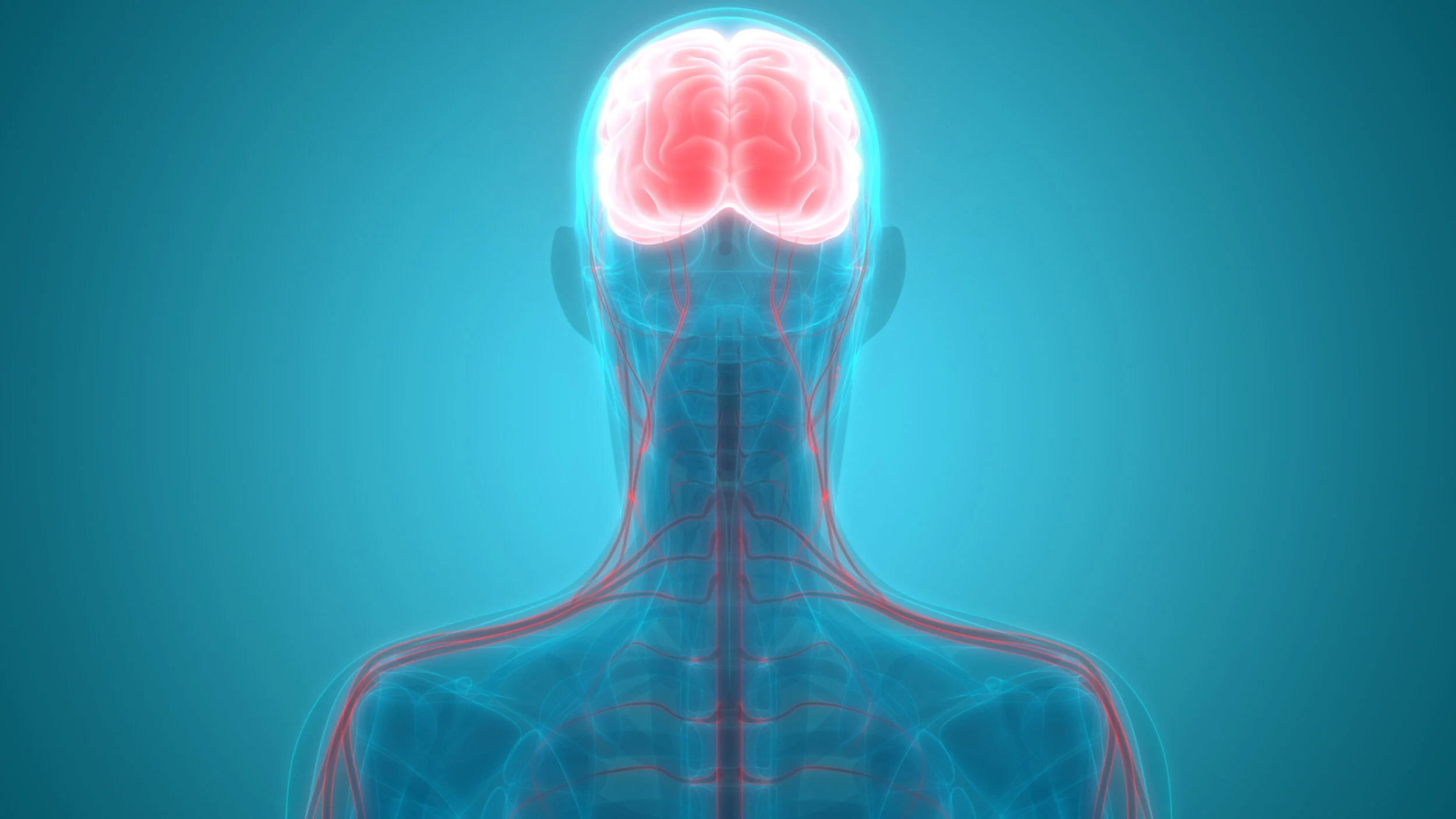Brain Nervous System_1.jpg BTA FINAL.jpg
