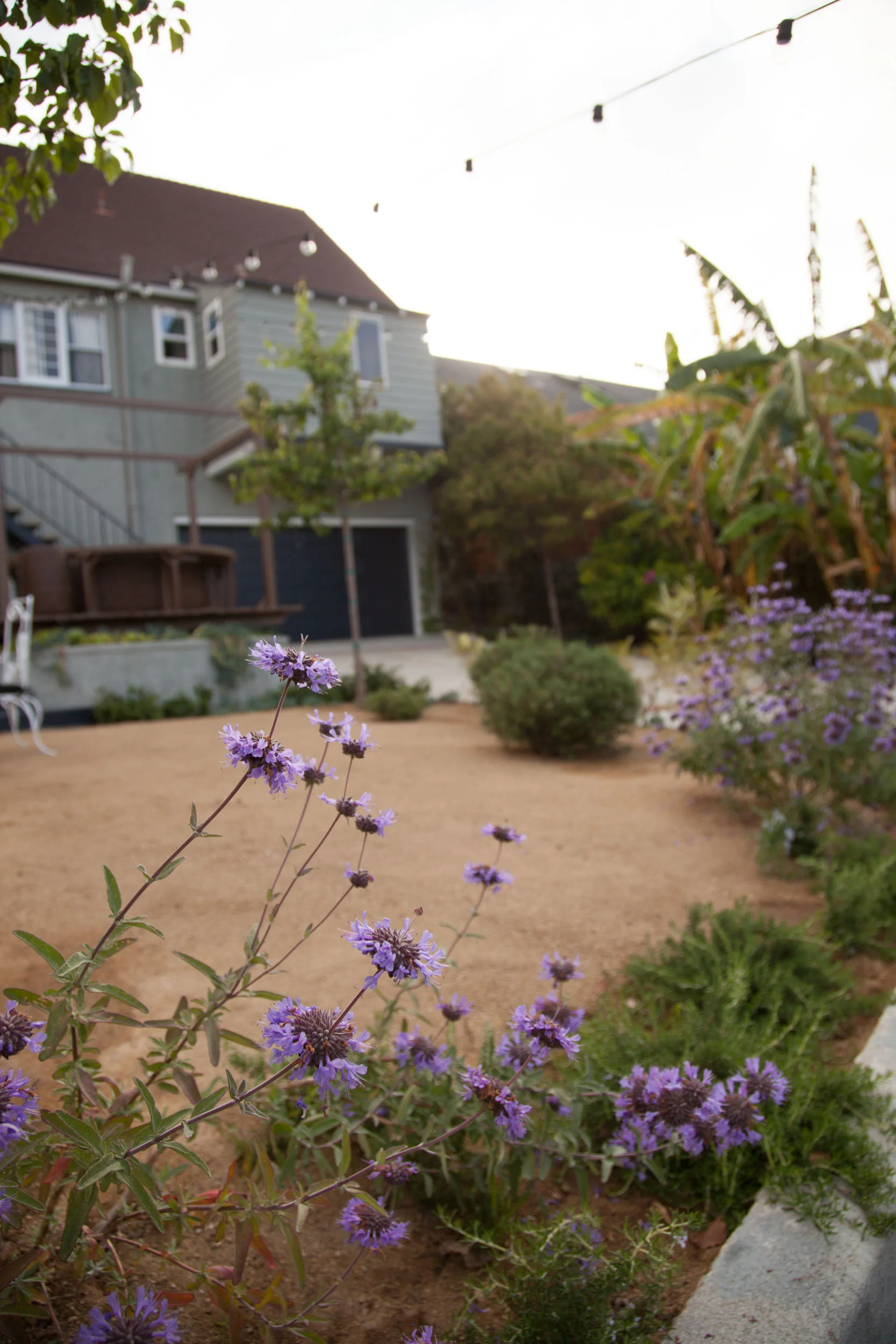 2958Waverlydr-9823.jpg