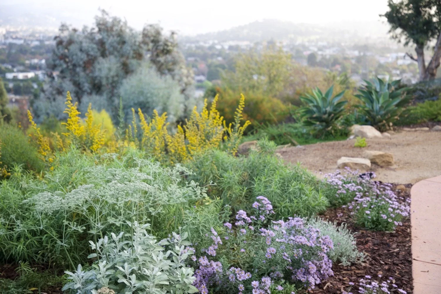 Eckbo_NBD-Waverly Garden copy.jpg