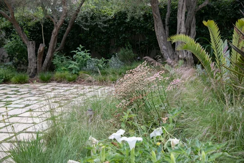 Native By Design Native by Design Landscapes
