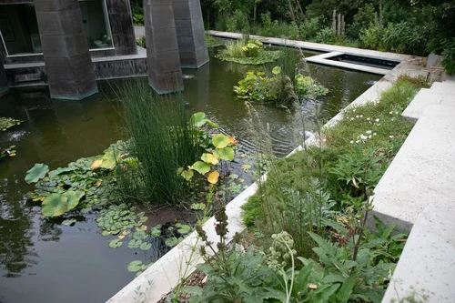Native By Design Native by Design Landscapes
