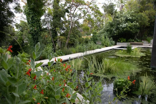 Native By Design Native by Design Landscapes