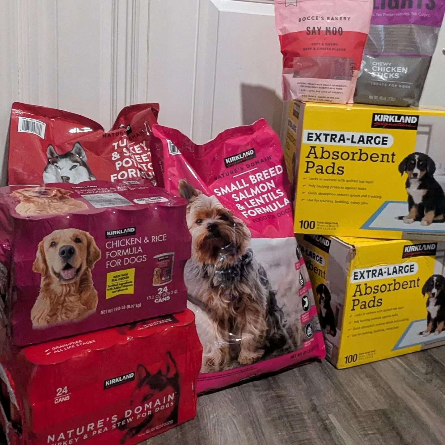 Hey y'all! With your support of my twitch stream, revenue from Nov-Feb was about $300! I was able to buy some supplies to hand out directly with an increase of puppies in need. I'll be donating an additional $100 through my employer to double, and st