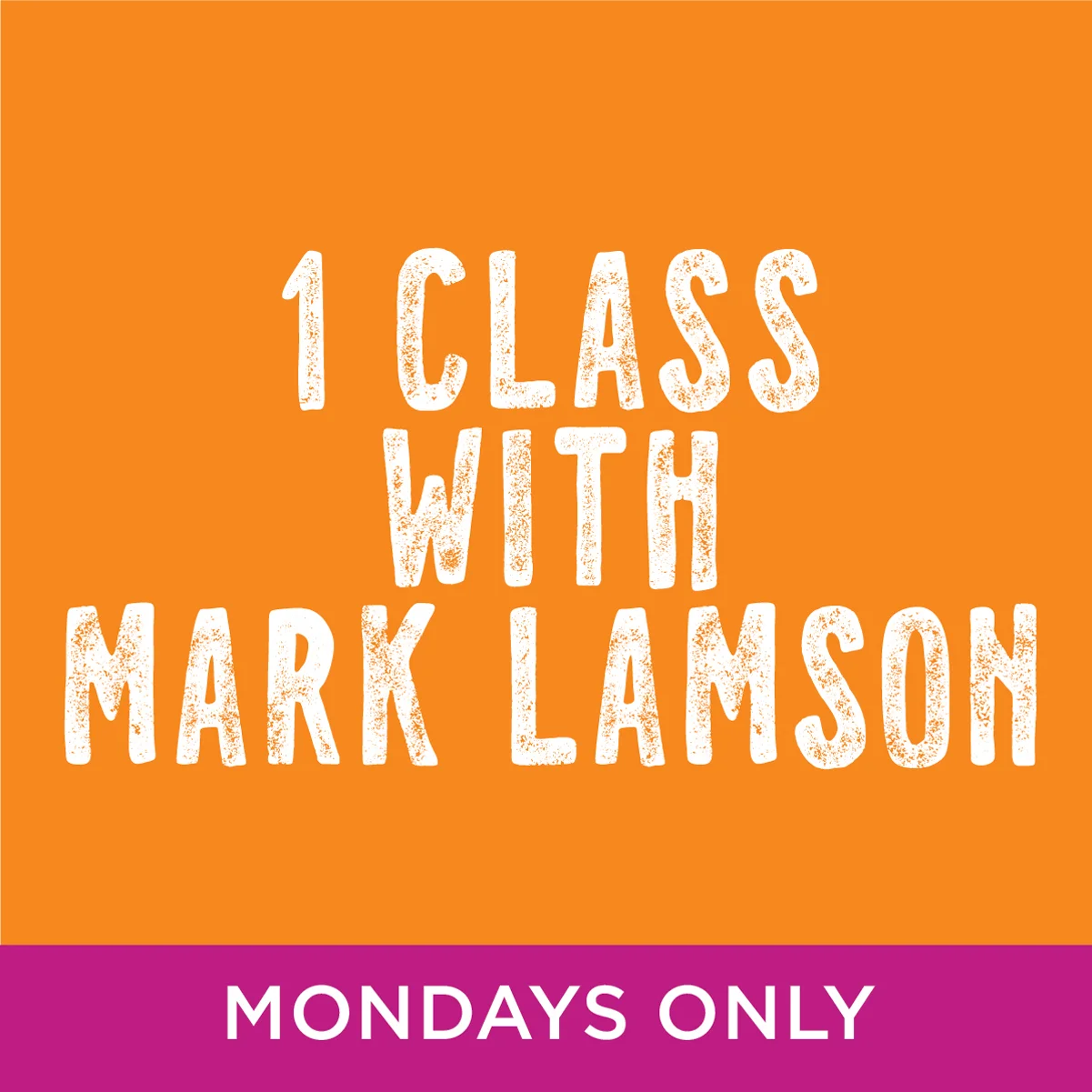 1 Class With Mark Lamson