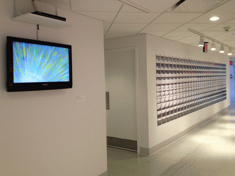 20141003 Lone Star installation view 1.gif