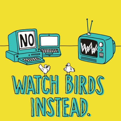 tumblr_ny18asWc5P1uevea1o1_500.gif