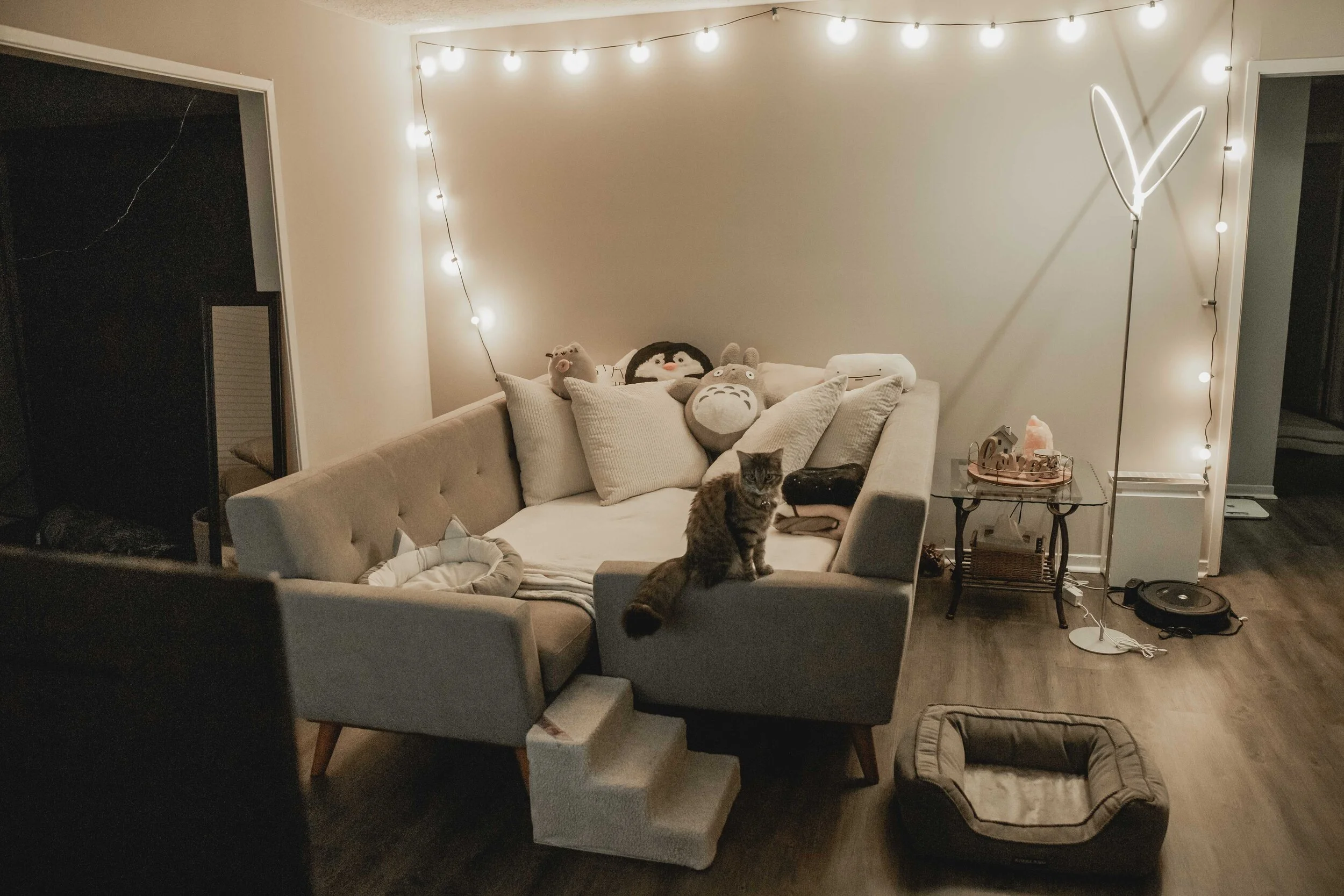 Cozy DIY living room theater setup during the COVID-19 quarantine.