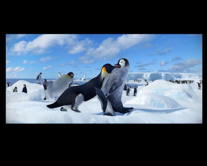 Happy Feet 3D Surface Artist 2004-2006