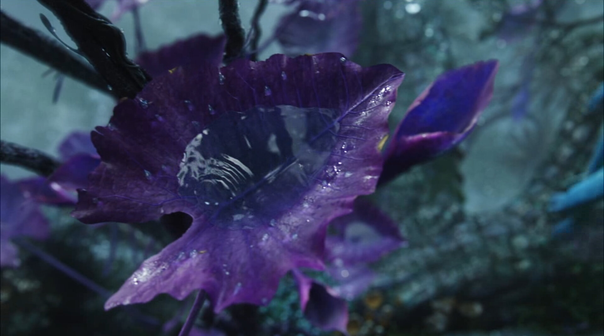 Neytiri water 