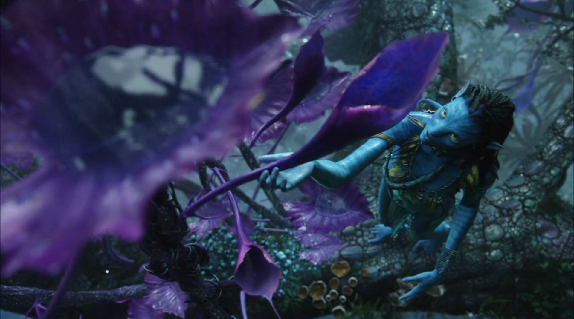  Plants and environments 3d Surface Artist:    Texture hero leaf of Neytiri.    From 3D concept art to textured model. Taking photo reference images and deriving bump, displacement, sub surface scattering and  hand painting color maps    Photo captur