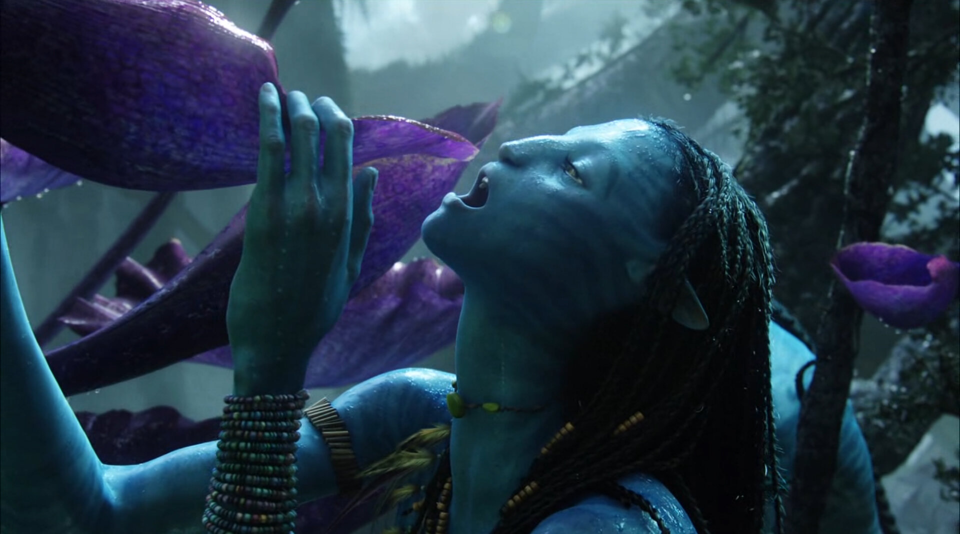 Neytiri Leaf