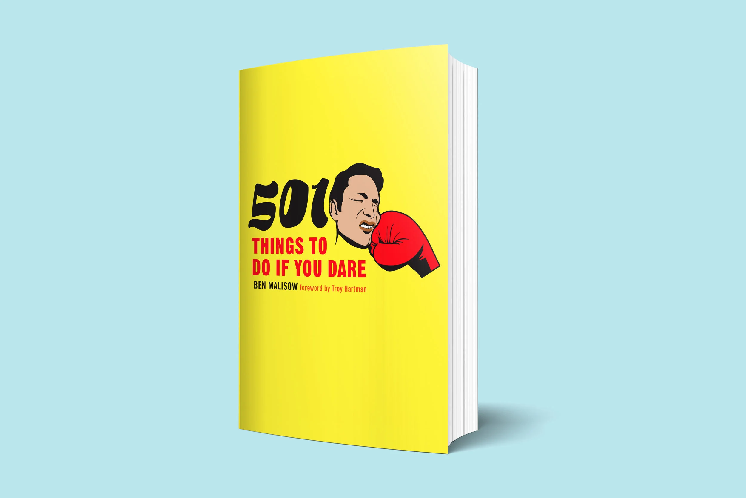 501 Things to do if you dare.jpg