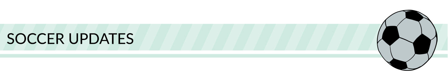 Sports banner: green, white, and black sport divider