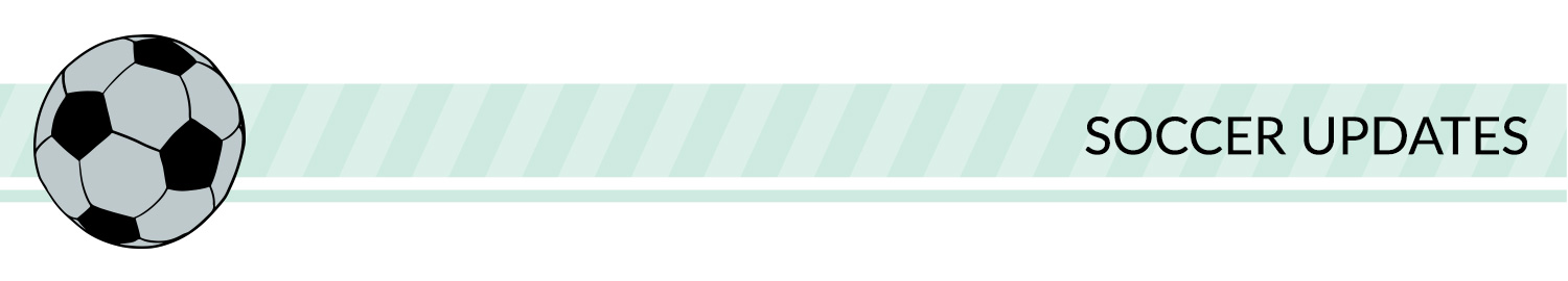 Sports banner: green, white, and black sport divider