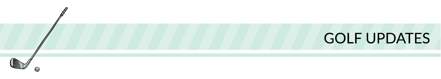 Sports banner: green, white, and black sport divider