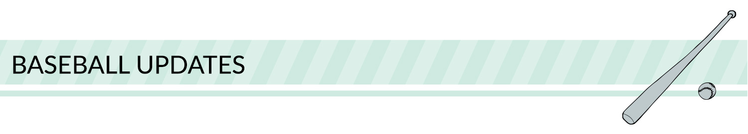 Sports banner: green, white, and black sport divider