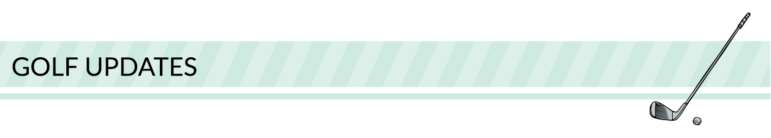 Sports banner: green, white, and black sport divider