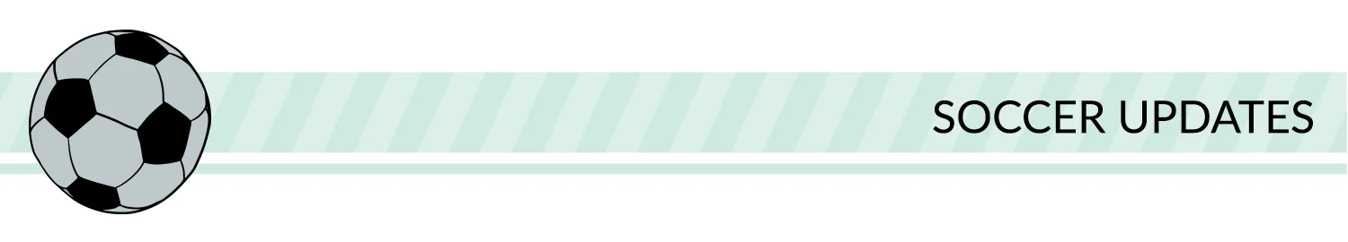 Sports banner: green, white, and black sport divider