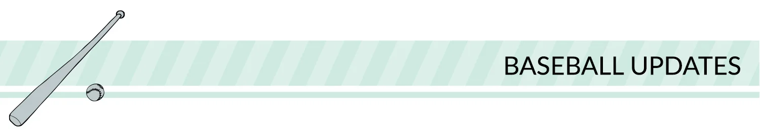 Sports banner: green, white, and black sport divider