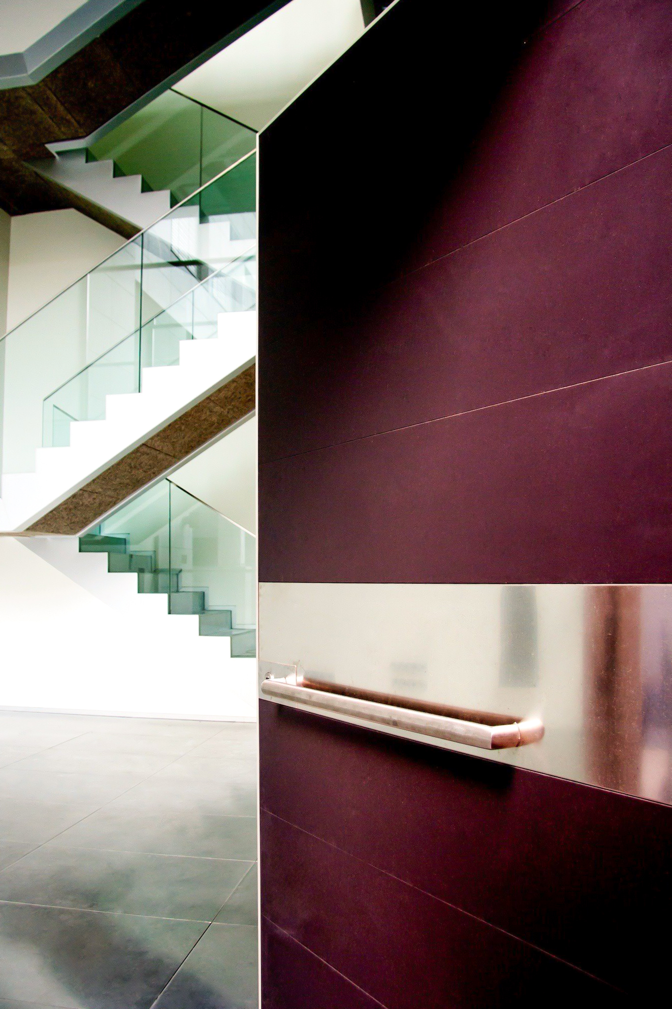 modern pivoting door with an steel staircase
