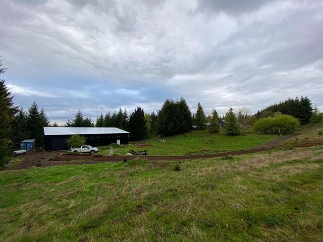 The space in front of @i2pi_ &lsquo;s shop will be for one or two hightunnel greenhouses. Both of these photos taken from our septic drainfield which I&rsquo;m hoping to plant with flowers. Looking for a good source nearby for buying a greenhouse!